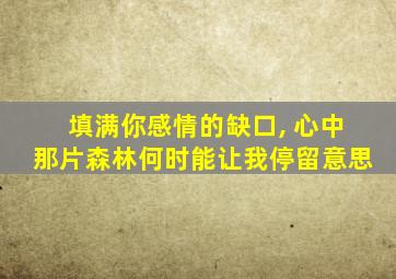 填满你感情的缺口, 心中那片森林何时能让我停留意思